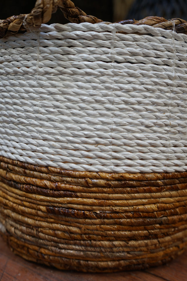 Bonnie Basket