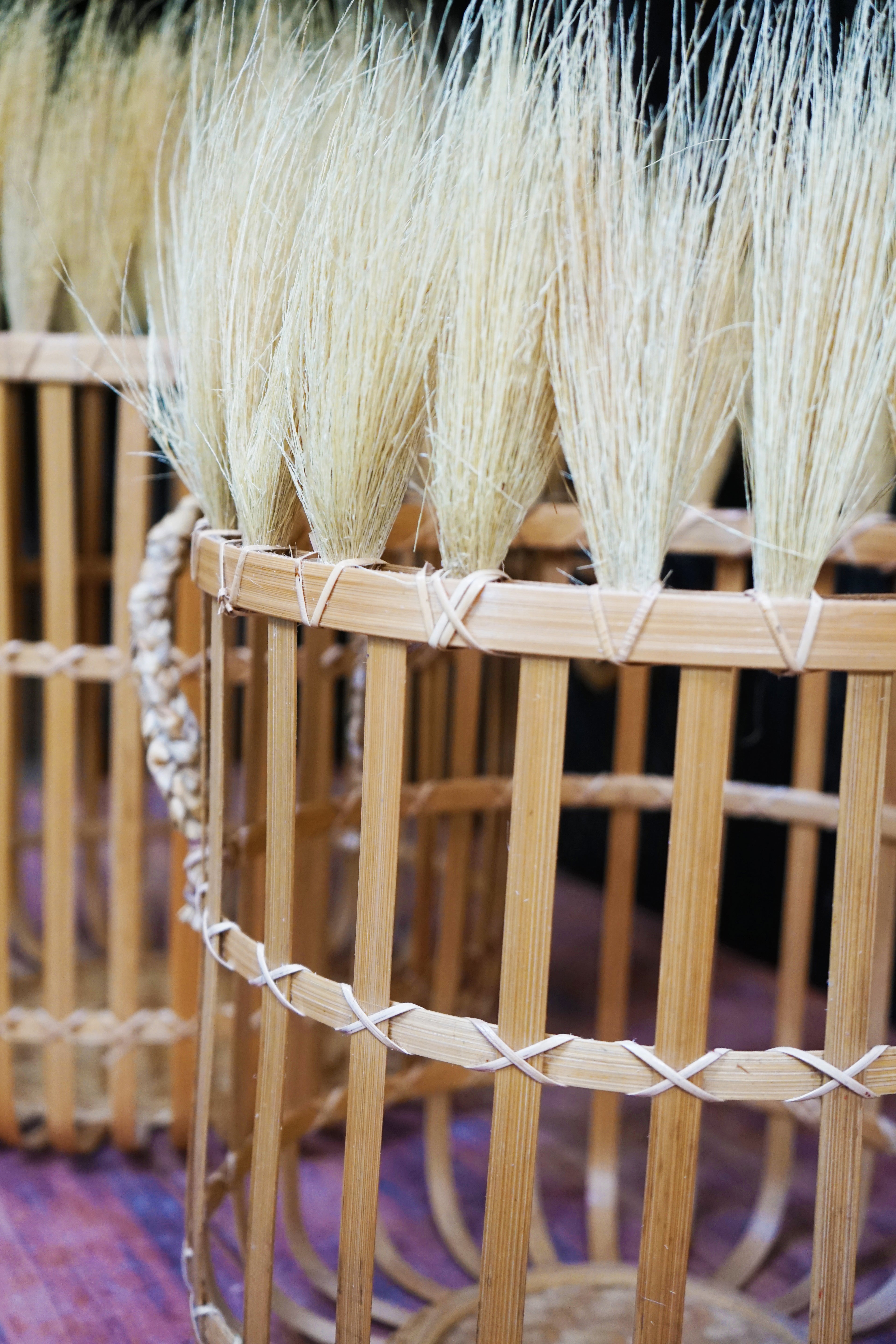 Canasto Pinchi (Set x 2 und)