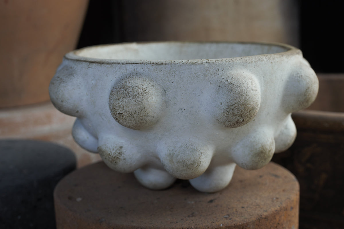 BOWL BARRO