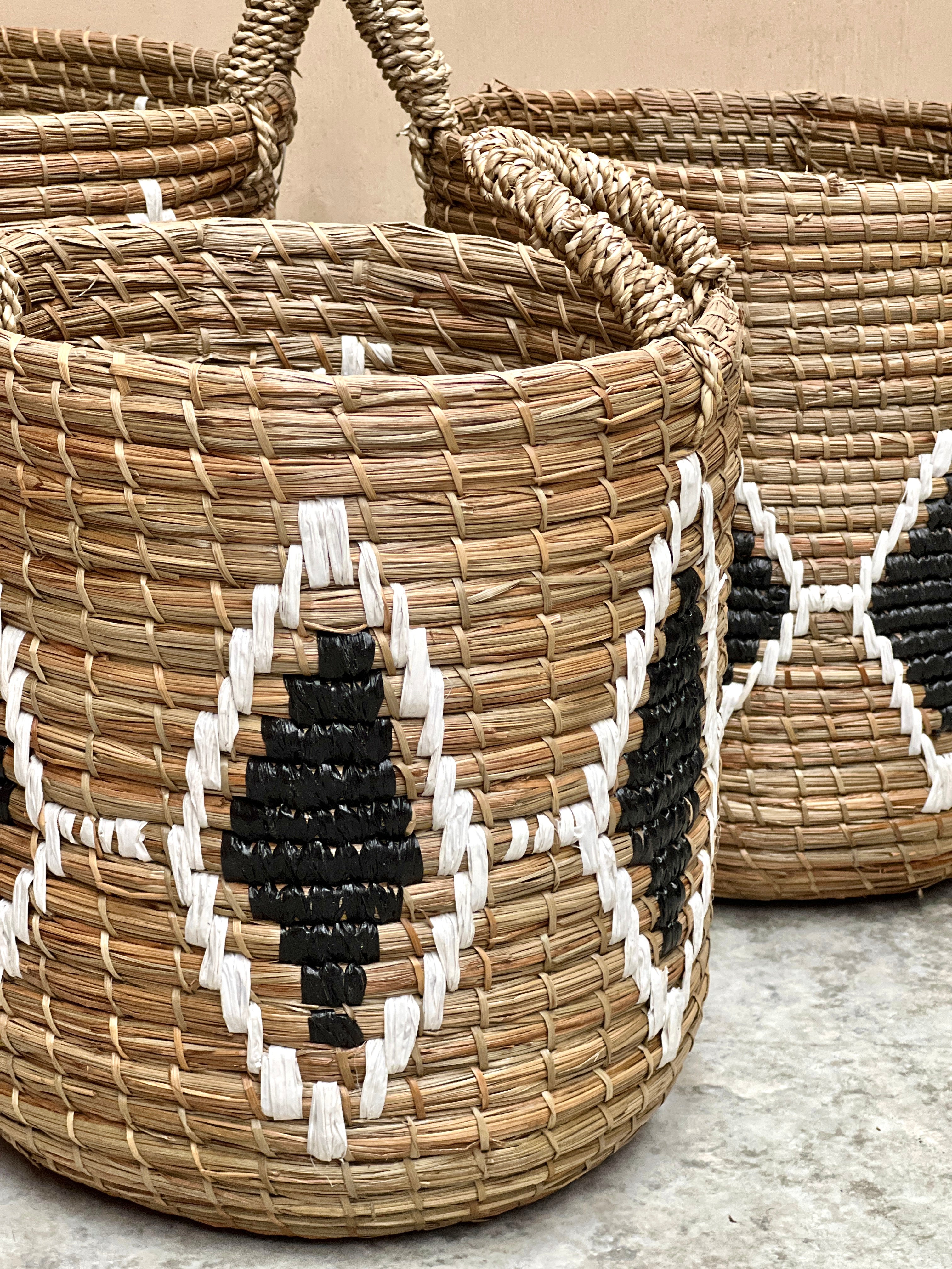 Canasto Seymour (Set x 3 und)