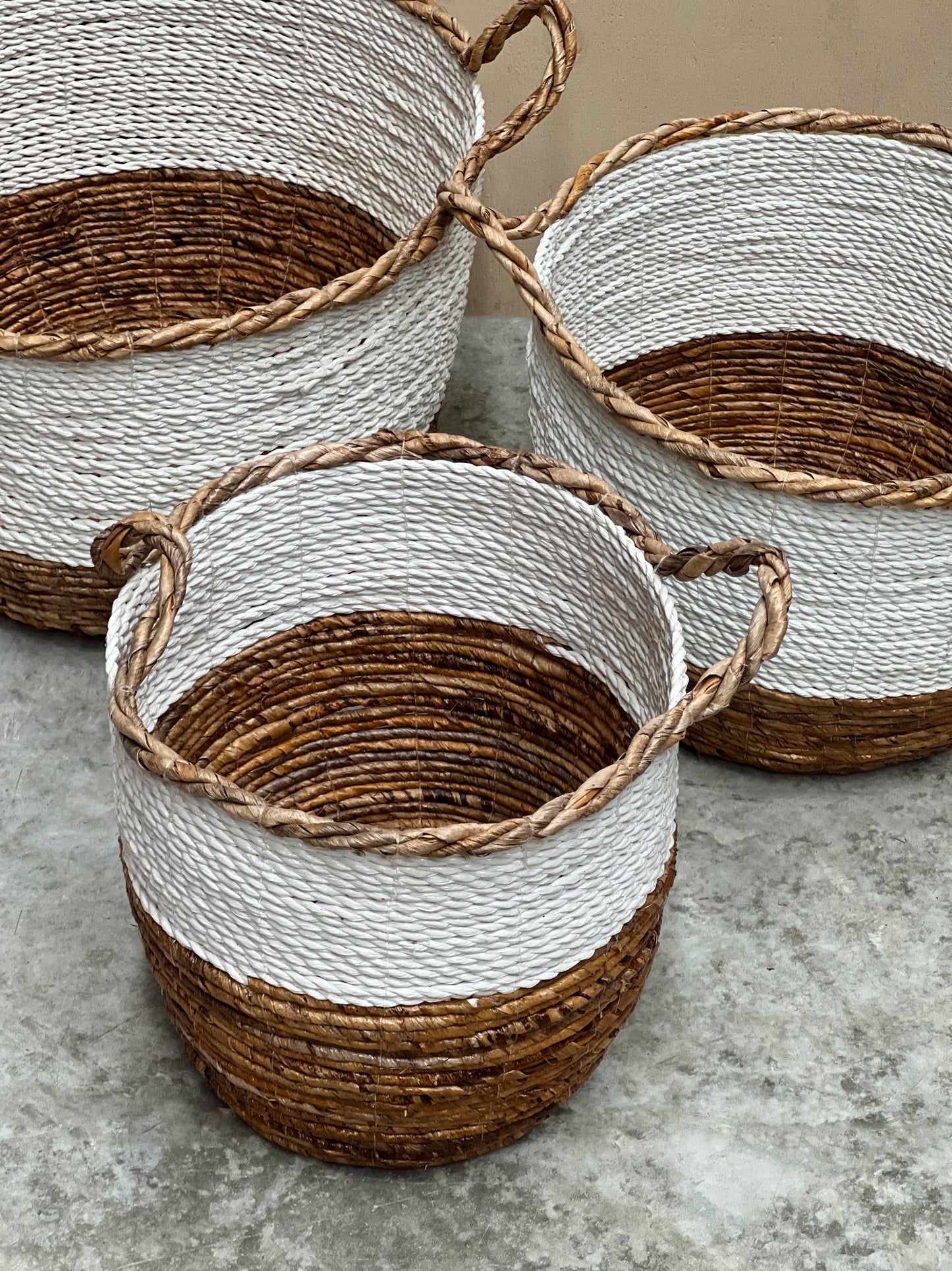 Bonnie Basket
