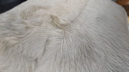 SILLA ARIA PLEGABLE