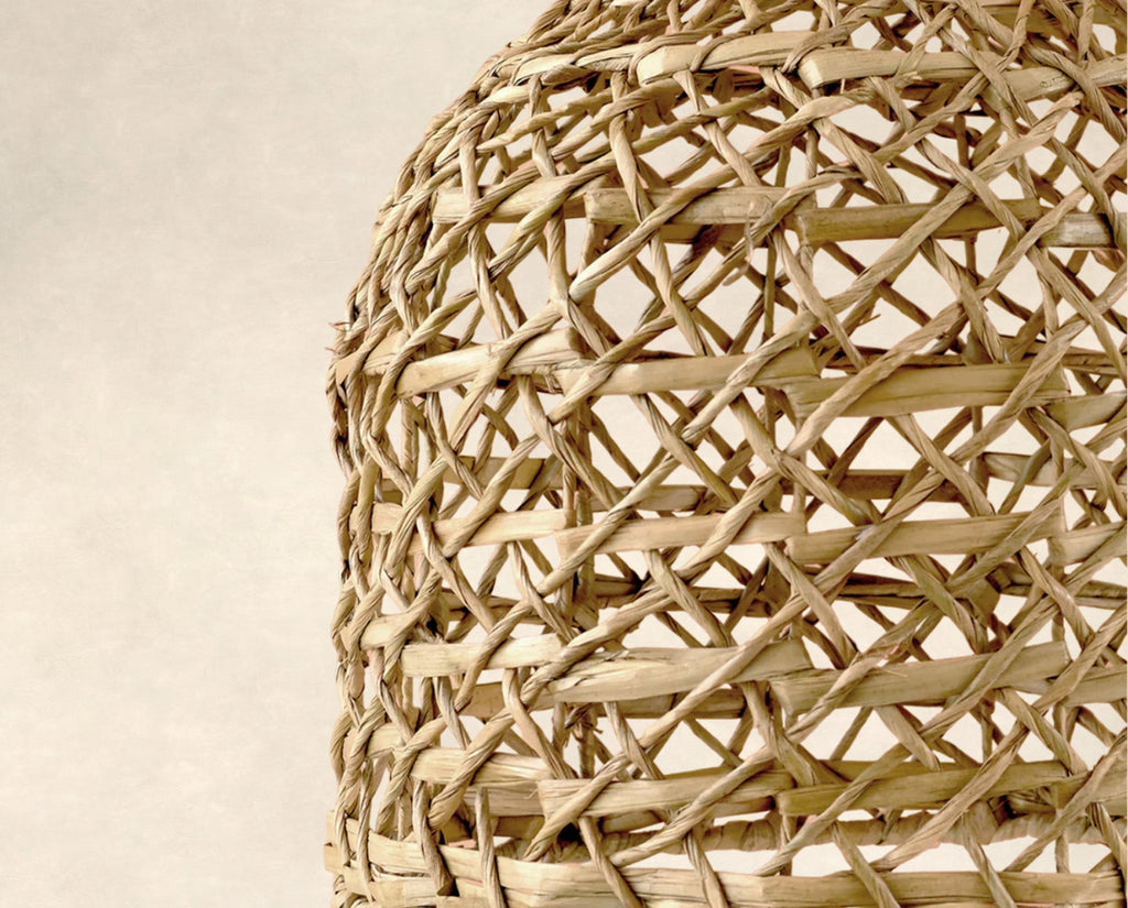 PANTALLA DE PALMA FLOW