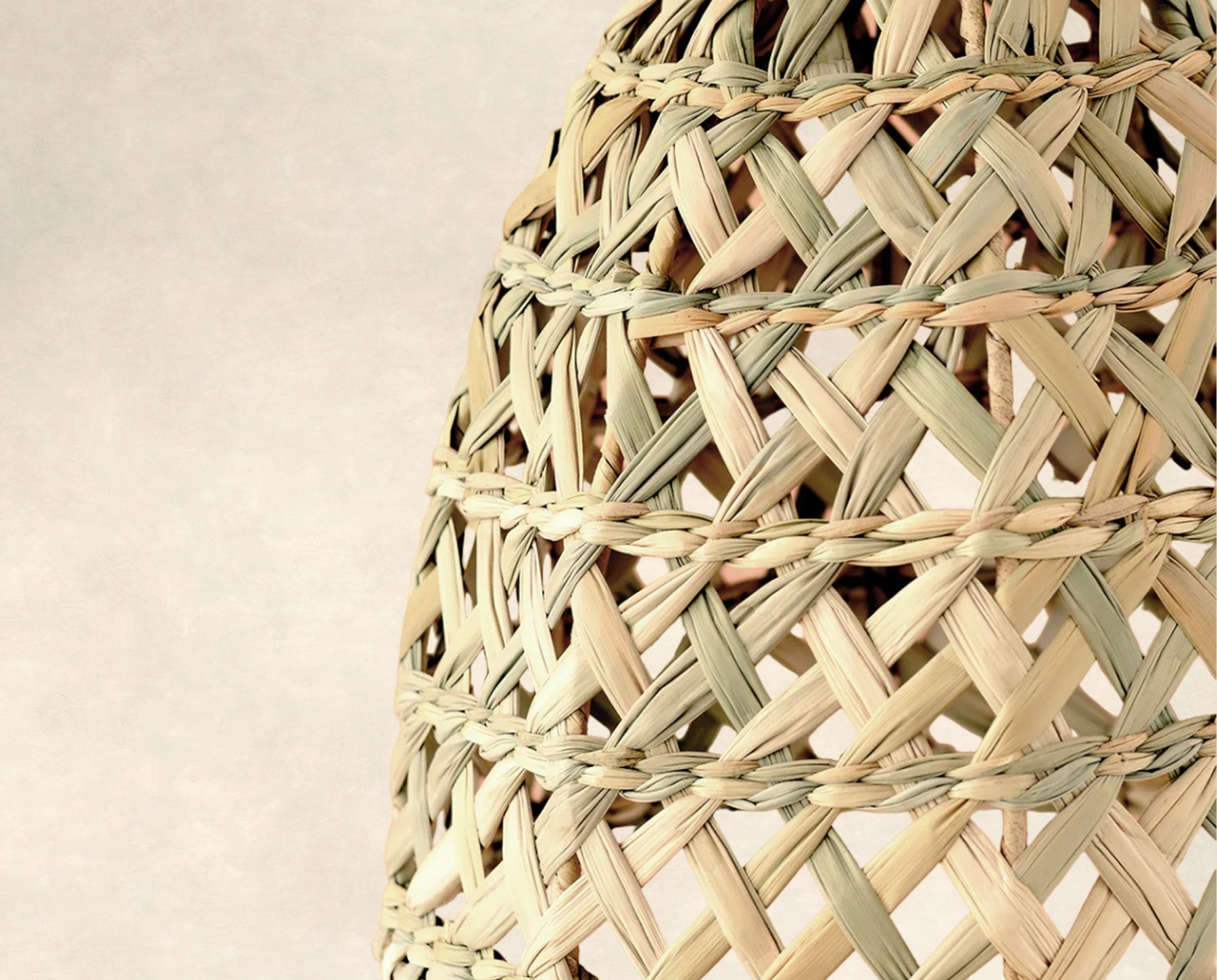 PANTALLA DE PALMA ROSS