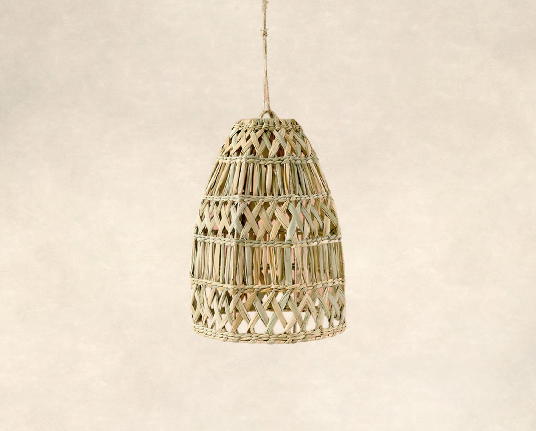 PANTALLA DE PALMA  BOB